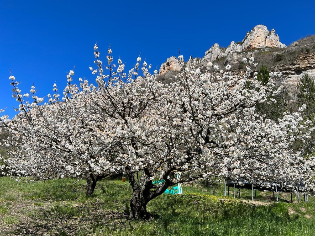 Gite Du Vallon Des Sources Millau Eksteriør billede